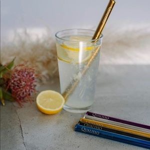 Stainless STRAWS (2) Carry Case Environmental Safe